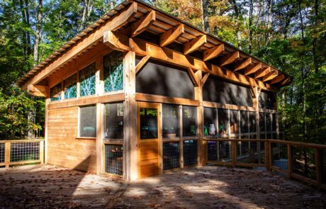 photo of timber frame pavilion
